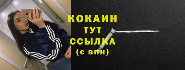 mdpv Вяземский