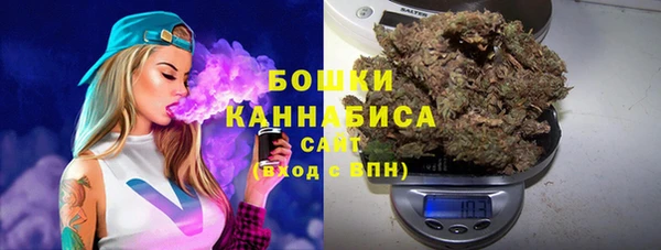 mdpv Вяземский