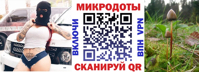 Псилоцибиновые грибы Psilocybine cubensis  Зуевка 