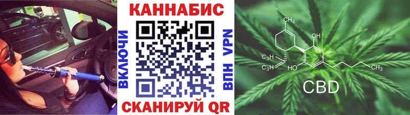 Каннабис гибрид  Зуевка 